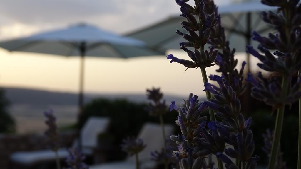 Hotel Cardamomo Sigueenza Carabias  외부 사진