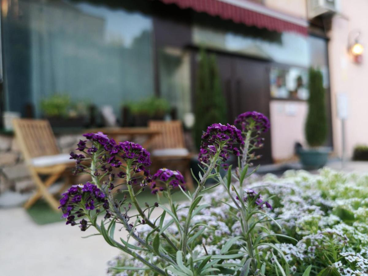 Hotel Cardamomo Sigueenza Carabias  외부 사진